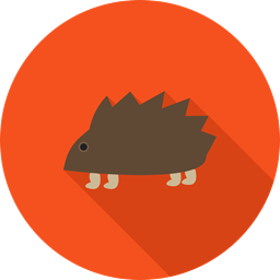 Pferd